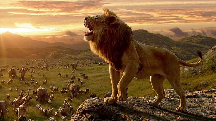movie the lion king 2019 lion mufasa the lion king hd wallpaper preview Viral Buzz Fire
